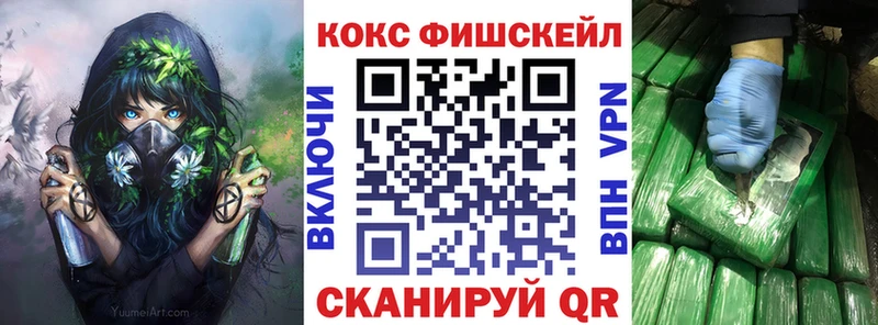 гидра вход  цены наркотик  Щёкино  Кокаин FishScale 