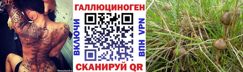 Псилоцибиновые грибы ЛСД  хочу   Щёкино 